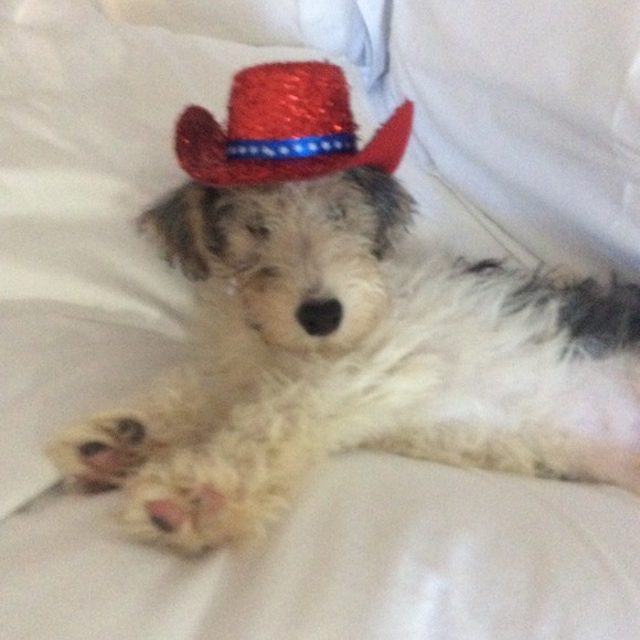 👜  Bijou’s Accessories!  🧳 - Picture 12 of 15